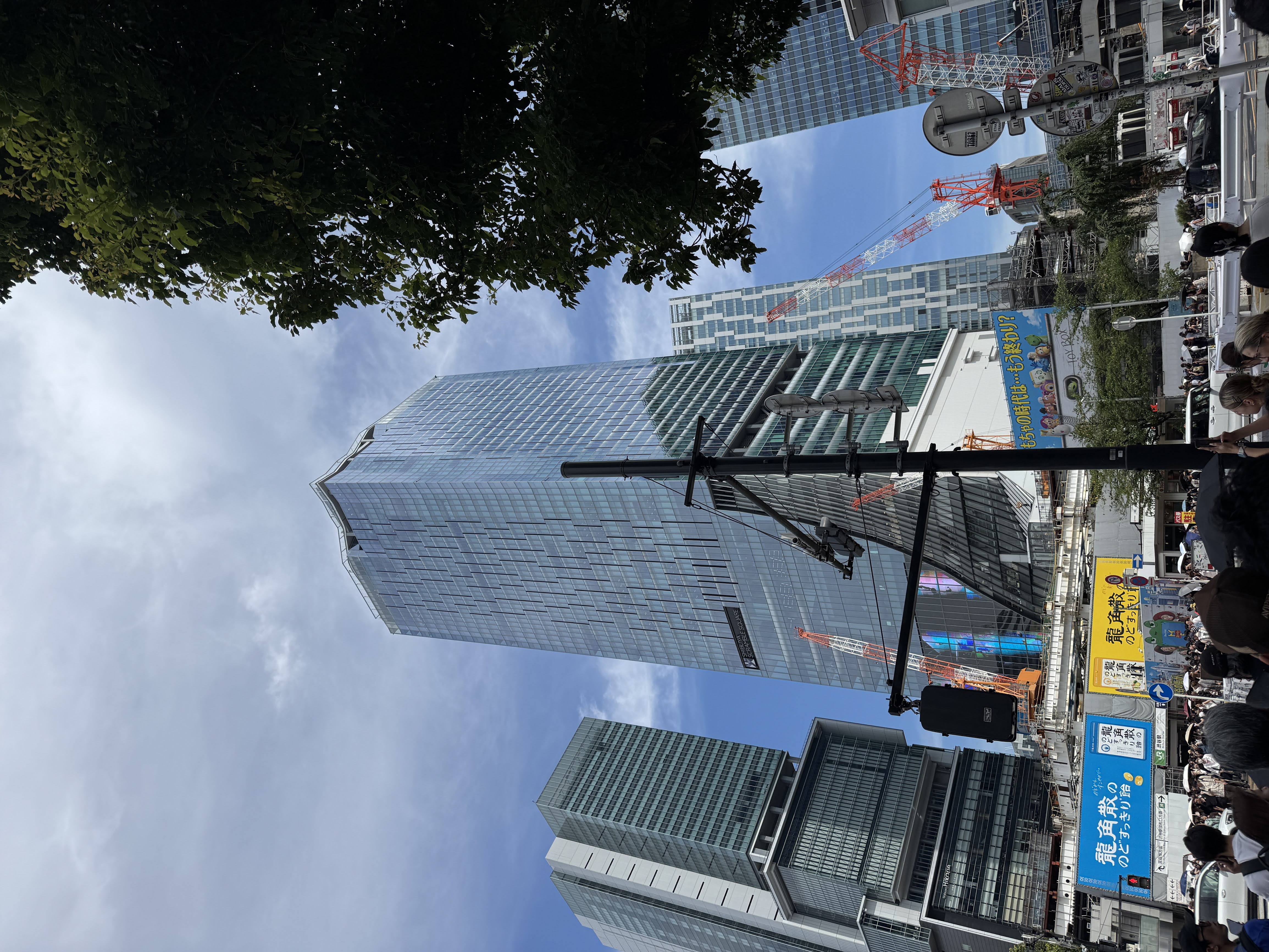 就是这个大楼上去看全景（知道得晚了，只能约大白天的票）